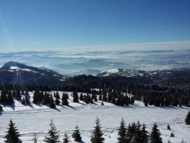 Ime: uploadfromtaptalk1453585492086.jpg
Pregleda: 410
Veli�ina: 45,8 KB