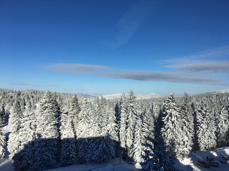 Ime: 8jan2017.JPG
Pregleda: 180
Veliina: 142,2 KB