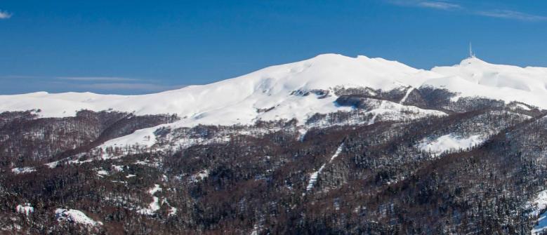 Ime: Troglava.jpg
Pregleda: 416
Veliina: 44,4 KB