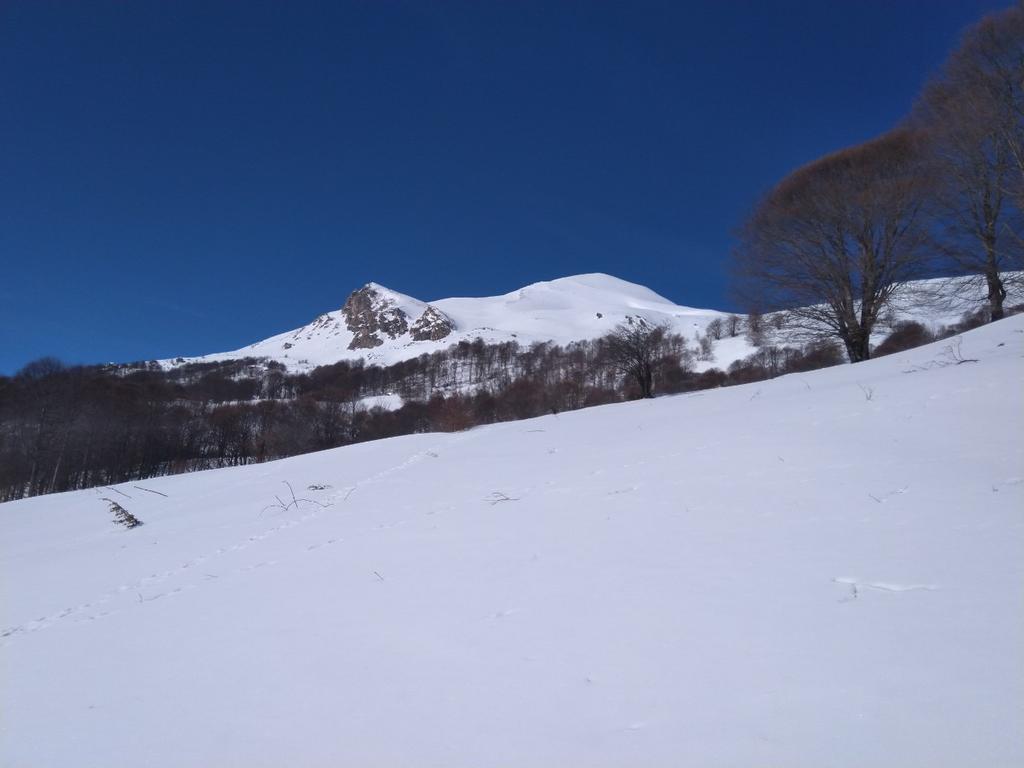 Ime: IMG-5660db109948e2fa9999551820eb9c60-V.jpg
Pregleda: 154
Veliina: 41,9 KB