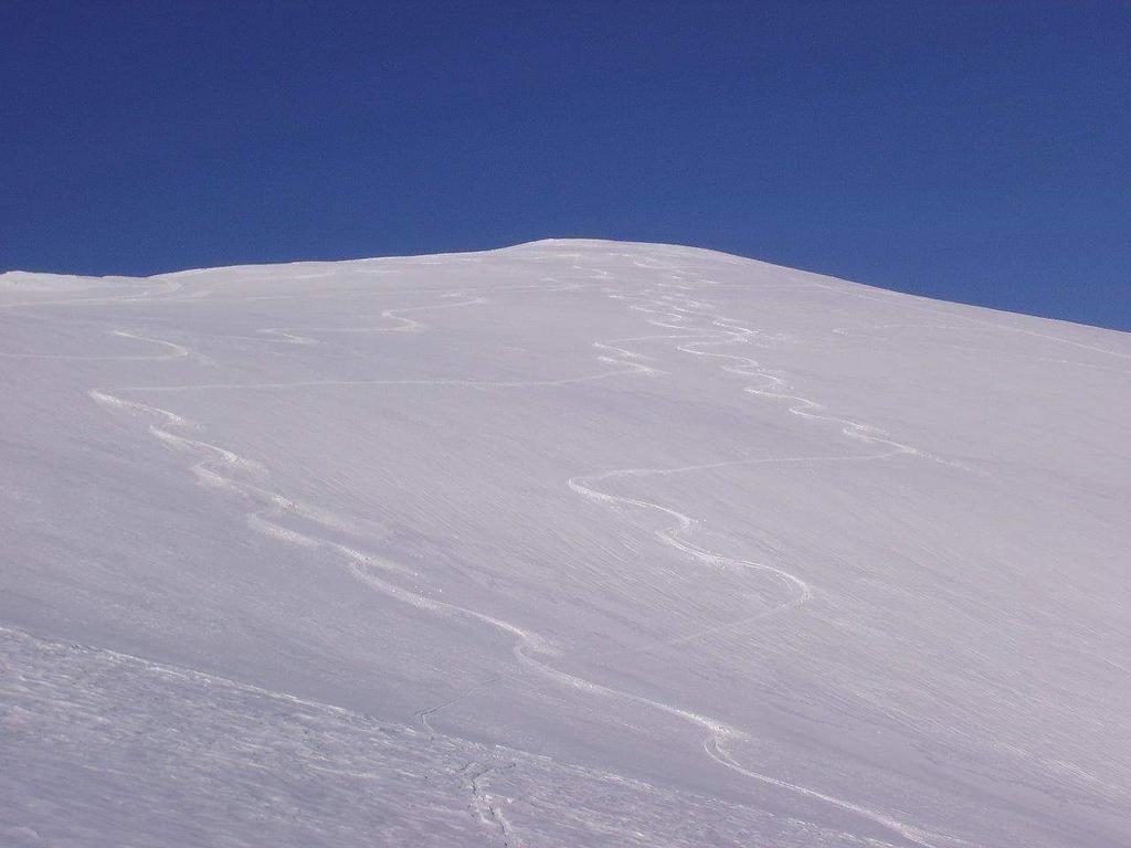 Ime: IMG-6c668cdbbe7d327e7e47c8d540a1ef9e-V.jpg
Pregleda: 117
Veliina: 60,4 KB