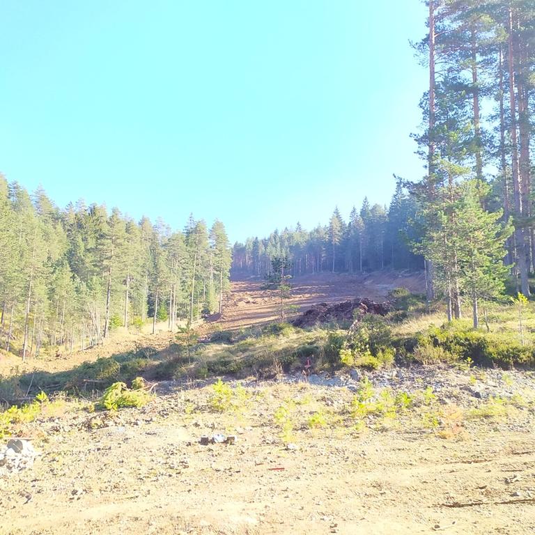 Ime: rsz_1img_20191027_174845.jpg
Pregleda: 112
Veliina: 120,9 KB