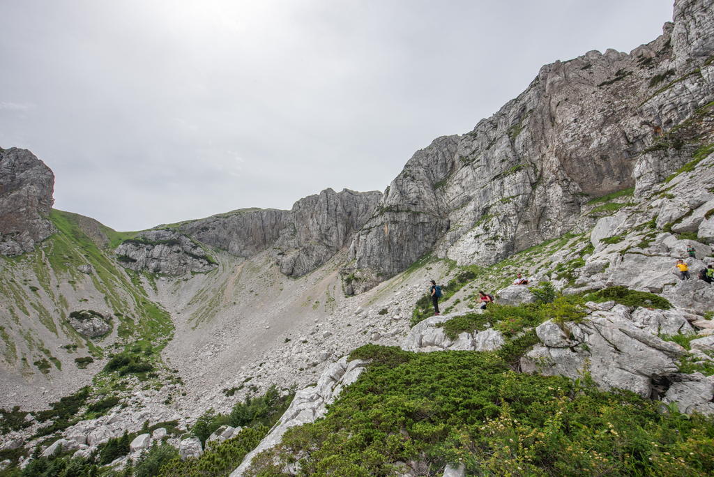 Ime: DSC_6405.jpg
Pregleda: 47
Veliina: 160,0 KB