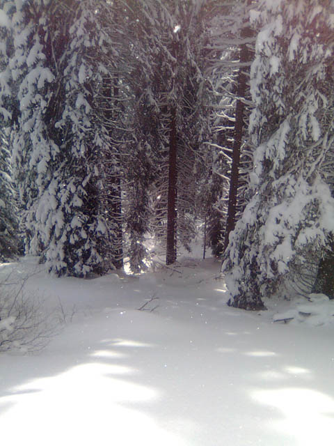 Ime: freeride-wood-heaven.jpg
Pregleda: 451
Veliina: 92,6 KB