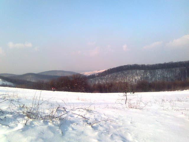 Ime: fg_brankovac2.jpg
Pregleda: 578
Veliina: 59,0 KB