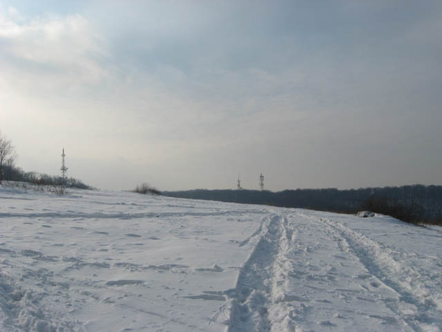 Ime: IMG_0843.JPG
Pregleda: 491
Veliina: 50,9 KB