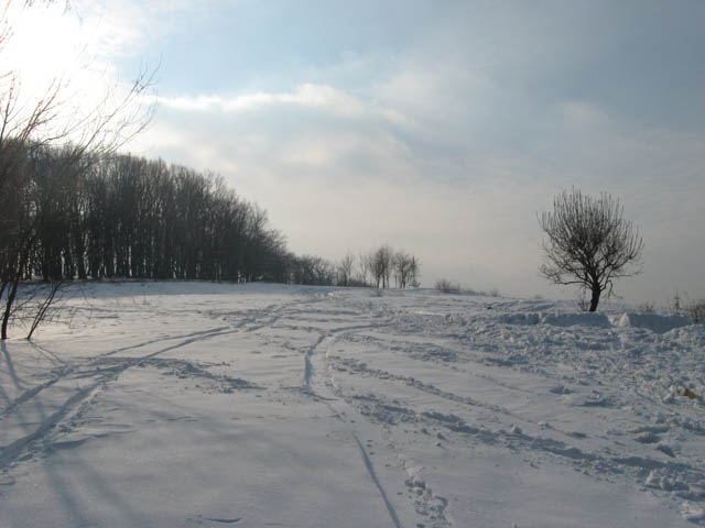 Ime: IMG_0850.JPG
Pregleda: 483
Veliina: 60,7 KB
