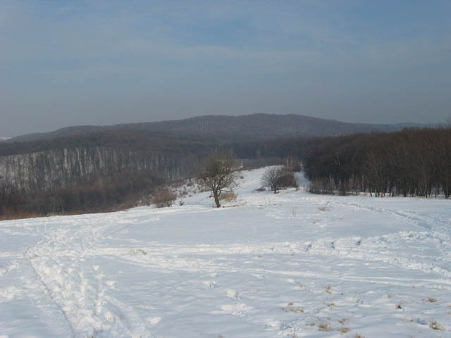 Ime: IMG_0841.JPG
Pregleda: 468
Veliina: 51,9 KB