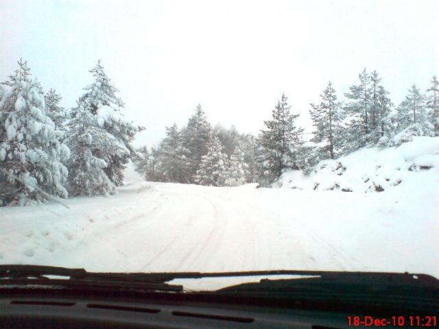 Ime: DSC01905.jpg
Pregleda: 212
Veliina: 35,4 KB