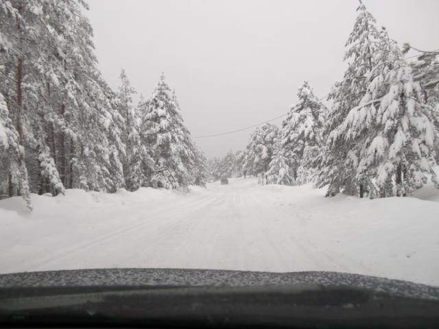 Ime: DSCF2044.jpg
Pregleda: 375
Veliina: 38,4 KB