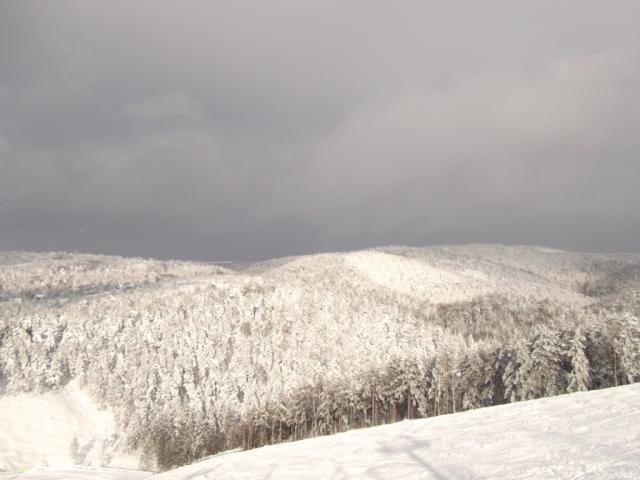 Ime: DSCF2069.jpg
Pregleda: 352
Veliina: 34,1 KB